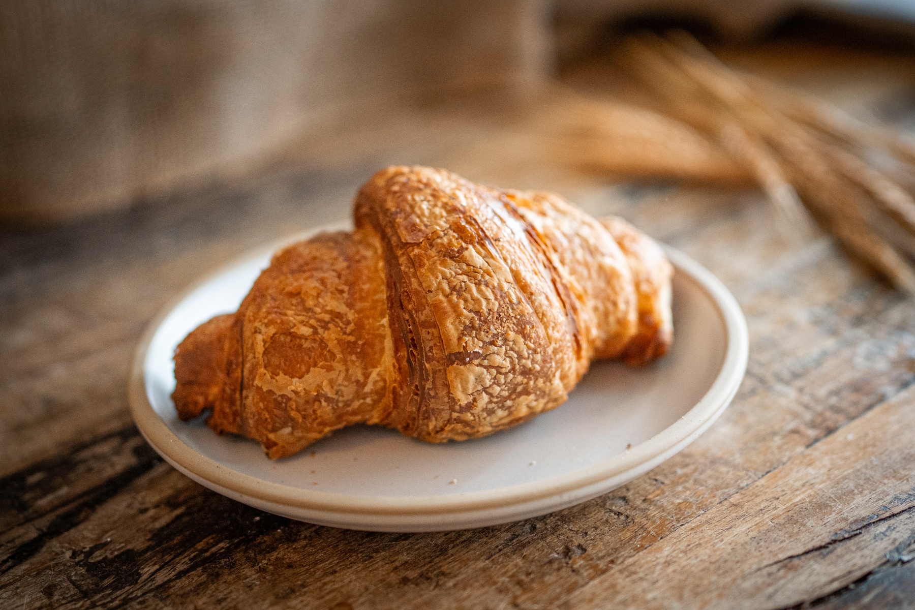 Levure Bakery and Patisserie in Tomball, Texas — photo 3 of 3