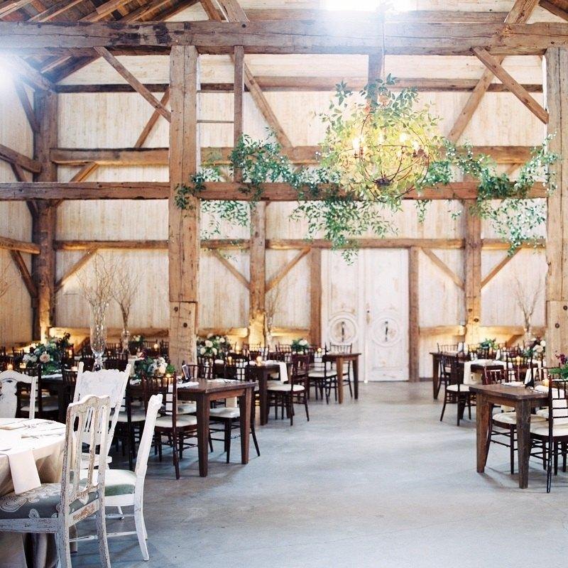 Chandelier Grove