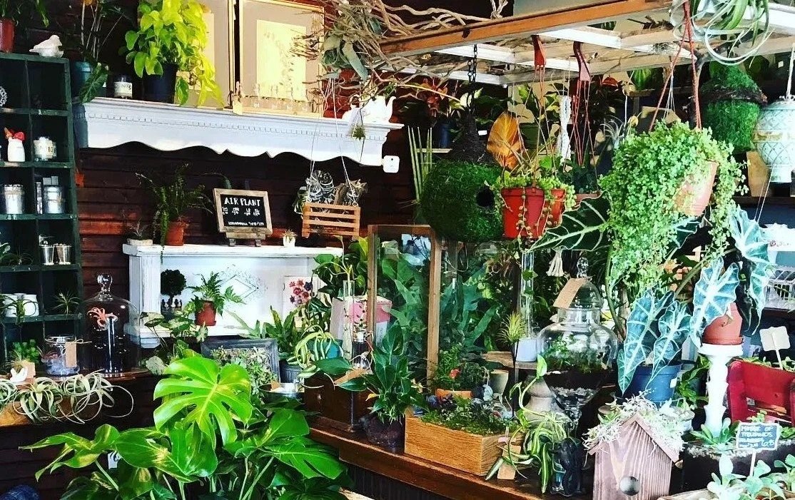 Terrarium Plant House
