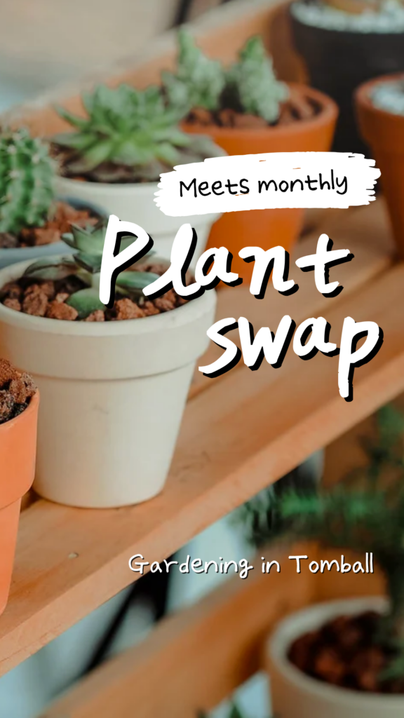 Gardening in Tomball plant swap, meets monthly