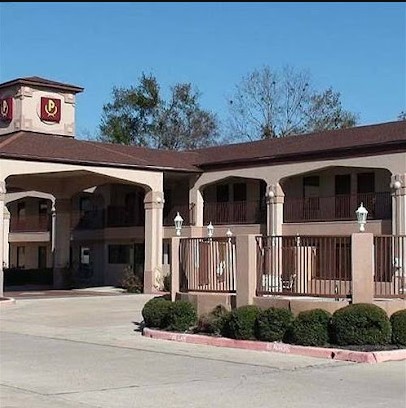 palace inn cover image
